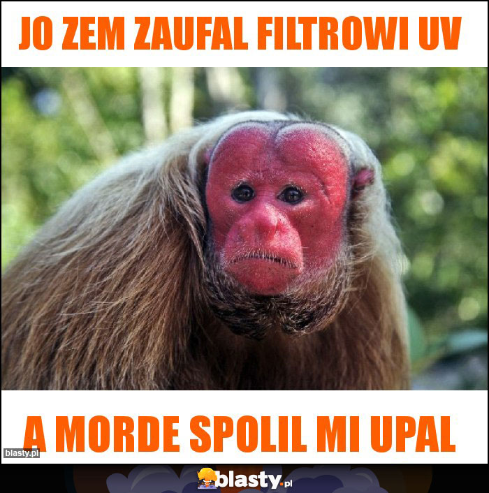 Jo zem zaufal filtrowi uv