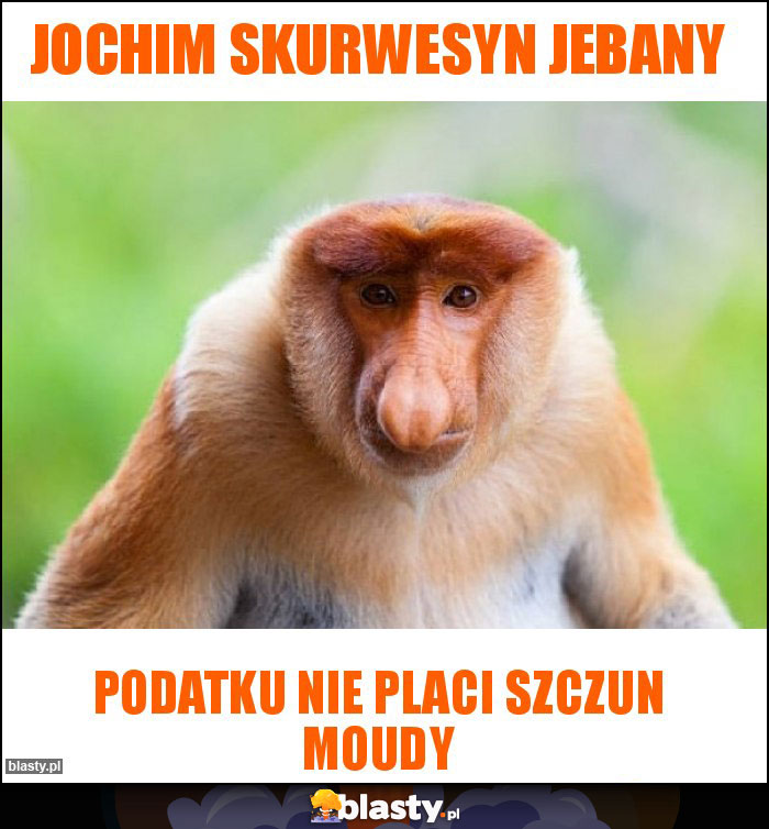 Jochim skurwesyn jebany