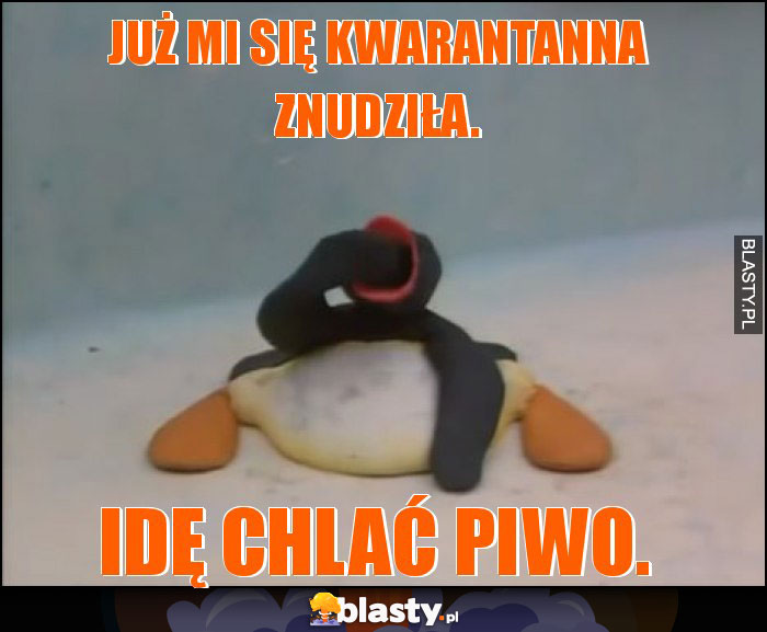 Już mi się kwarantanna znudziła.