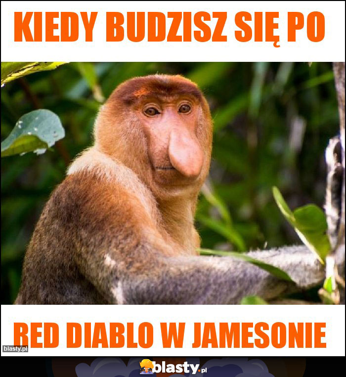 Kiedy budzisz się po