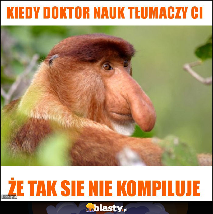 Kiedy doktor nauk tłumaczy Ci