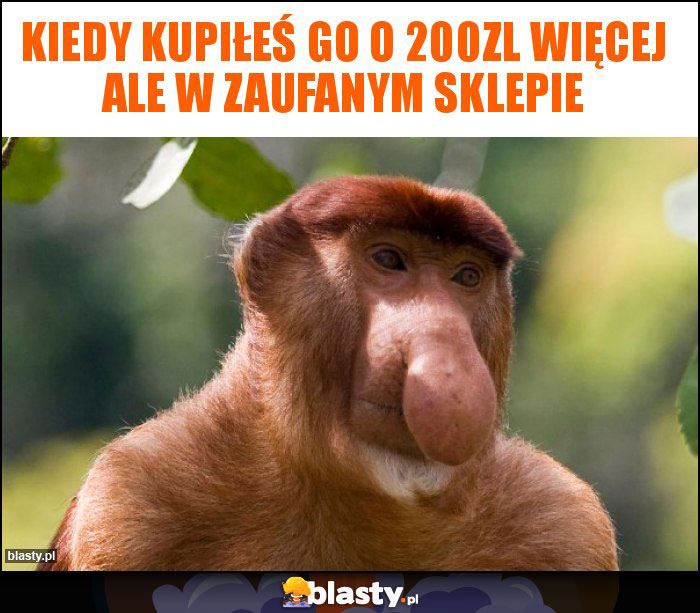 Kiedy kupiłeś go o 200zl więcej ale w zaufanym sklepie