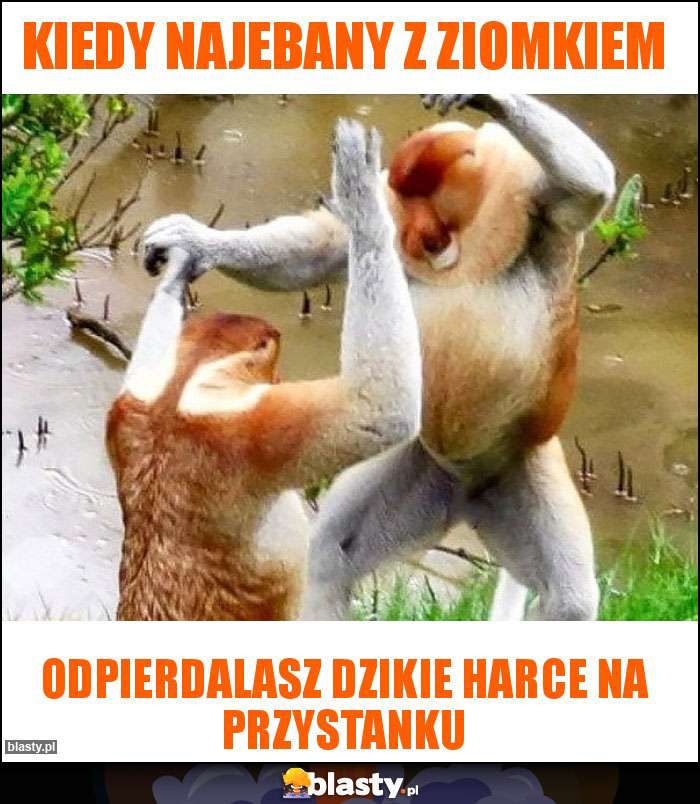 Kiedy najebany z ziomkiem