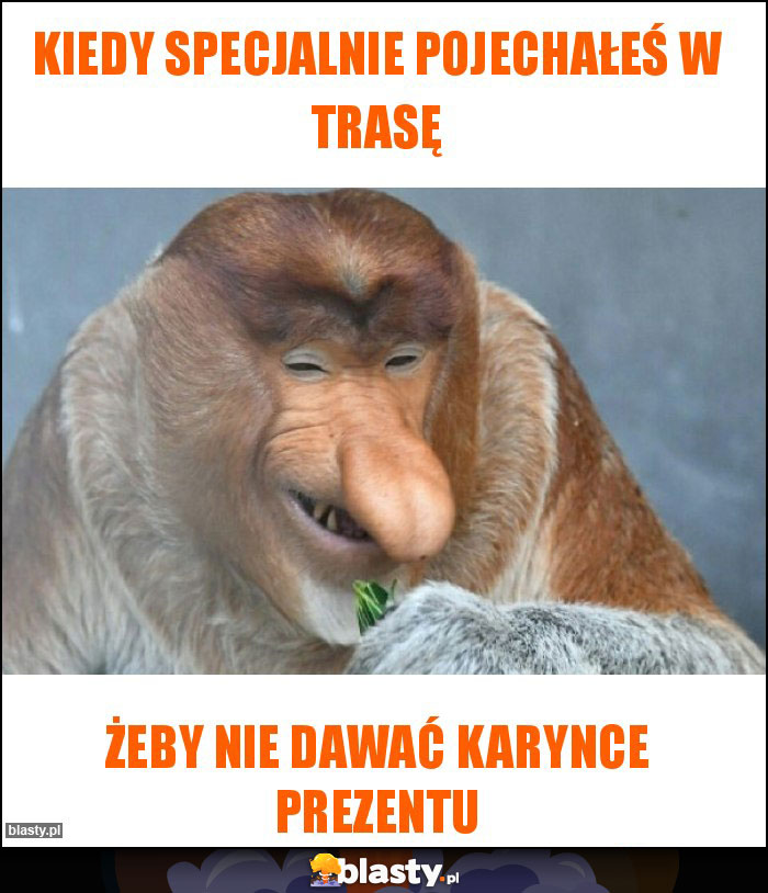 Kiedy specjalnie pojechałeś w trasę