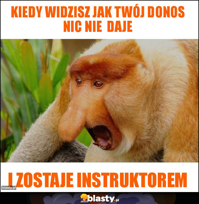 Kiedy widzisz jak twój donos nic nie  daje