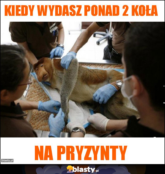 Kiedy wydasz ponad 2 koła