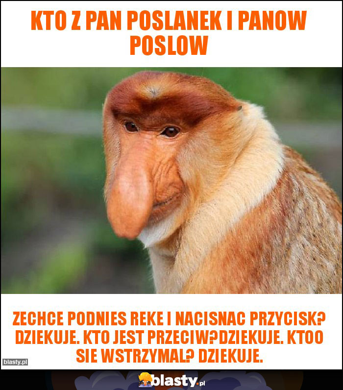 Kto z pan poslanek i panow poslow