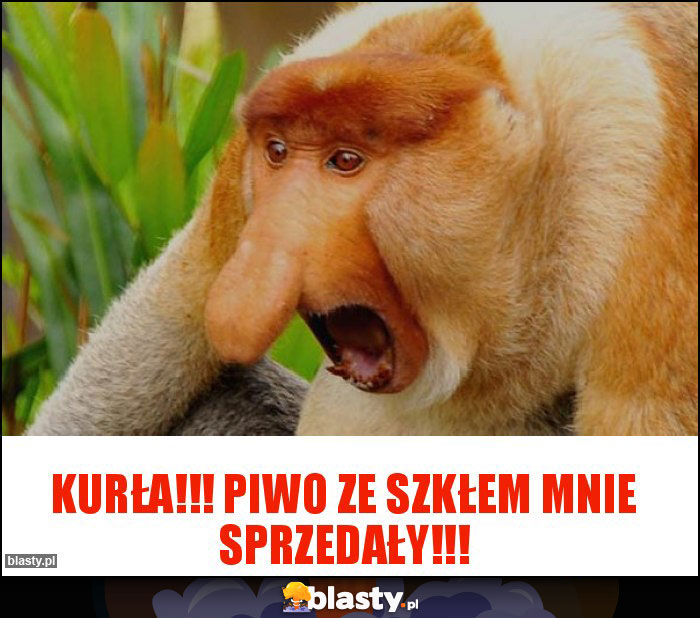 KURŁA!!! PIWO ZE SZKŁEM MNIE SPRZEDAŁY!!!