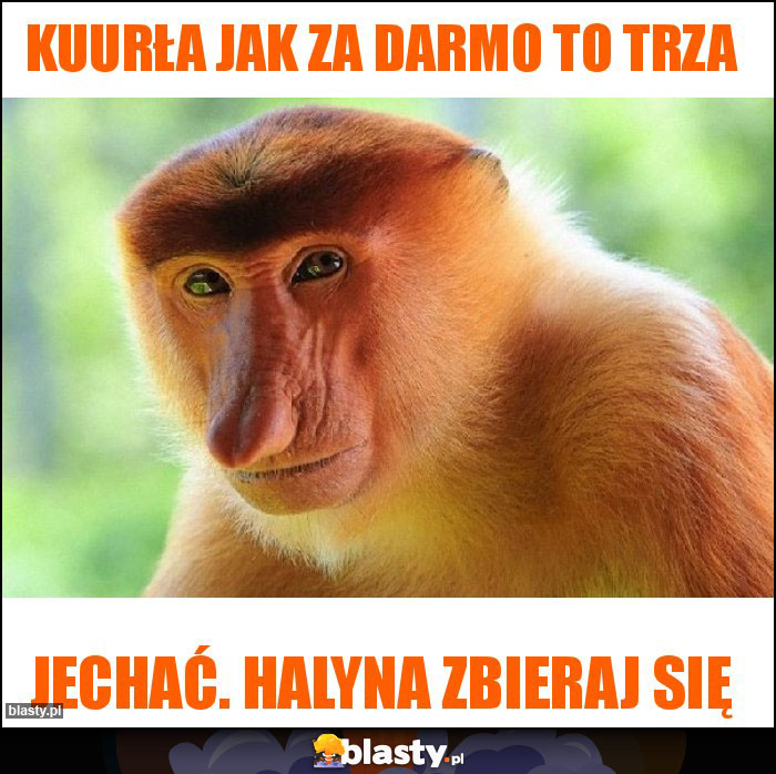 KUURŁA JAK ZA DARMO TO TRZA