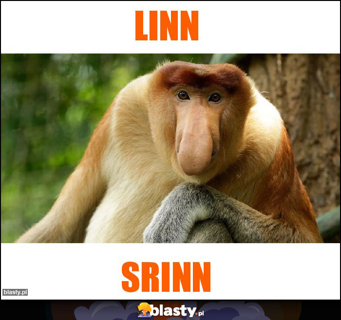 Linn