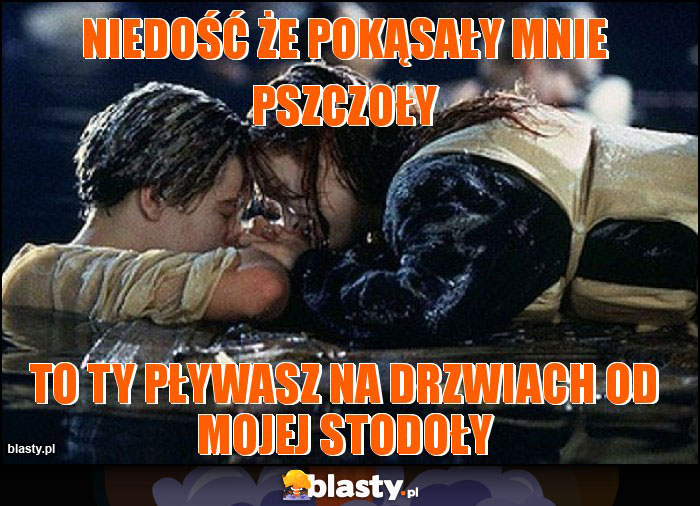 niedość że pokąsały mnie pszczoły