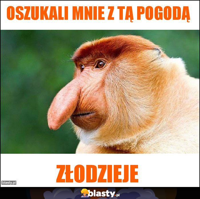 OSZUKALI MNIE Z TĄ POGODĄ