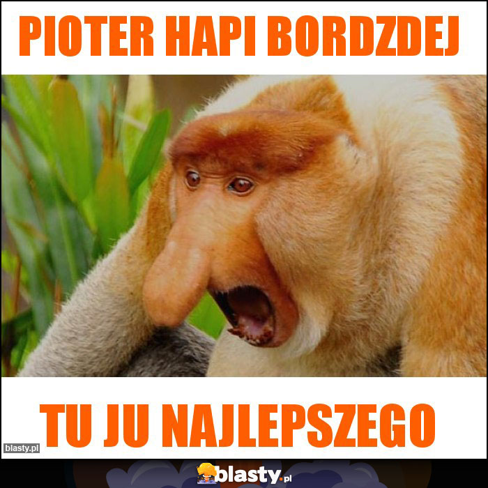 Pioter Hapi Bordzdej