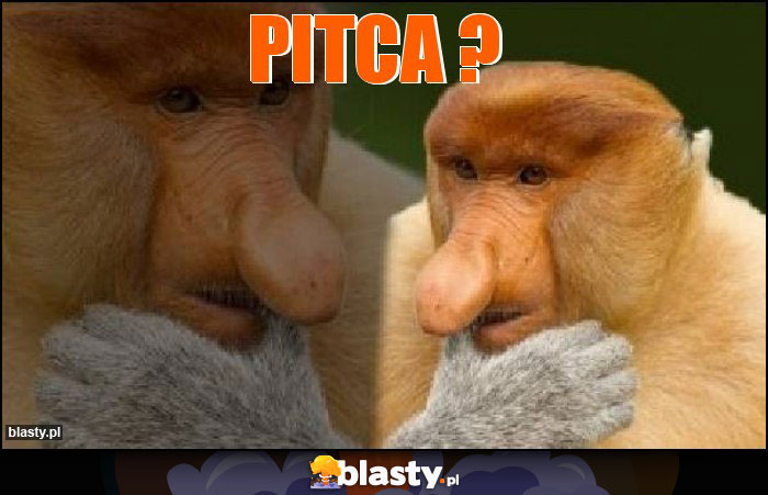 PITCA ?