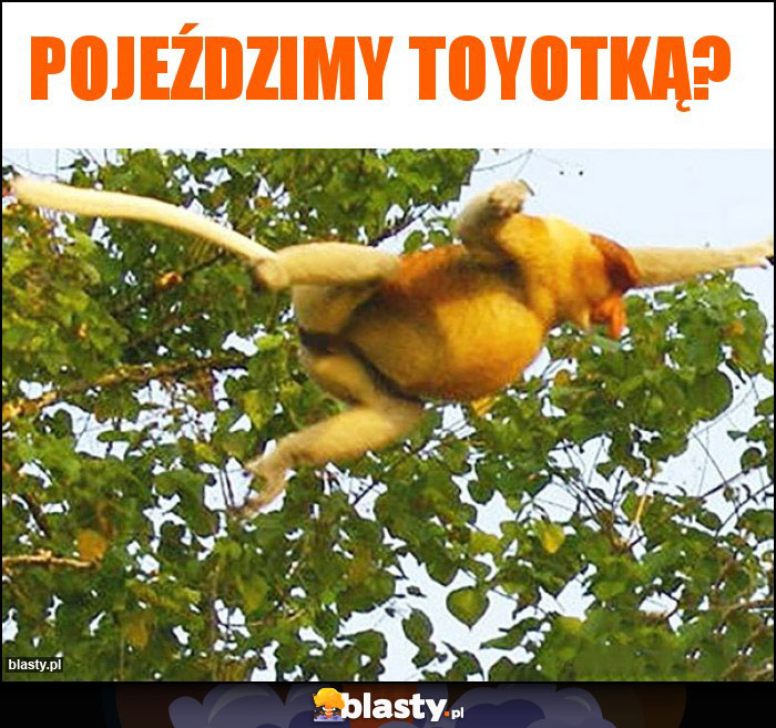 pojeździmy toyotką?