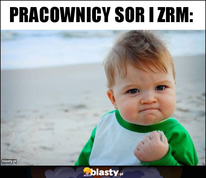 Pracownicy sor i zrm: