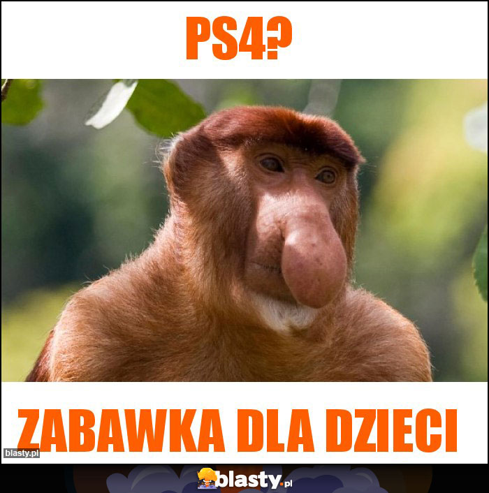 PS4?