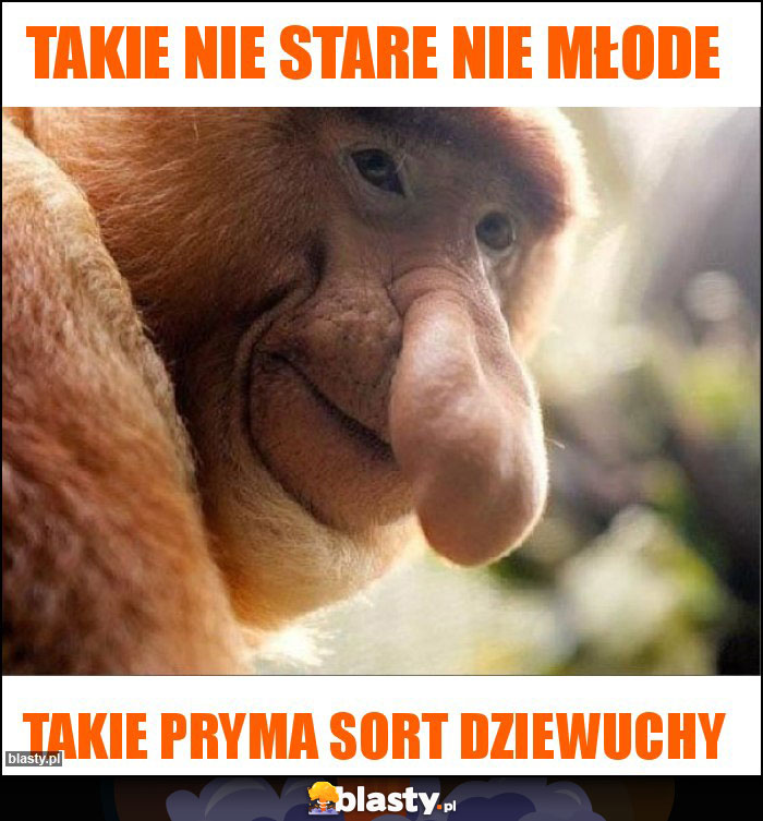 Takie nie stare nie młode