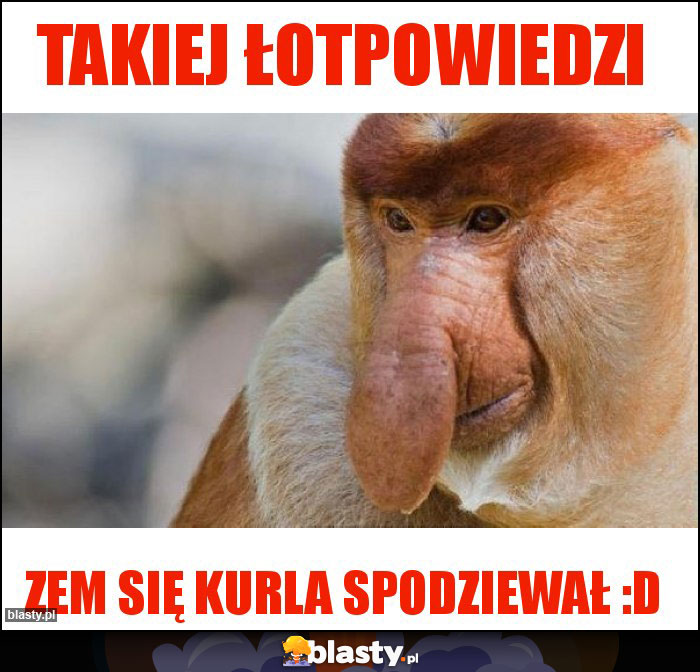 Takiej łotpowiedzi