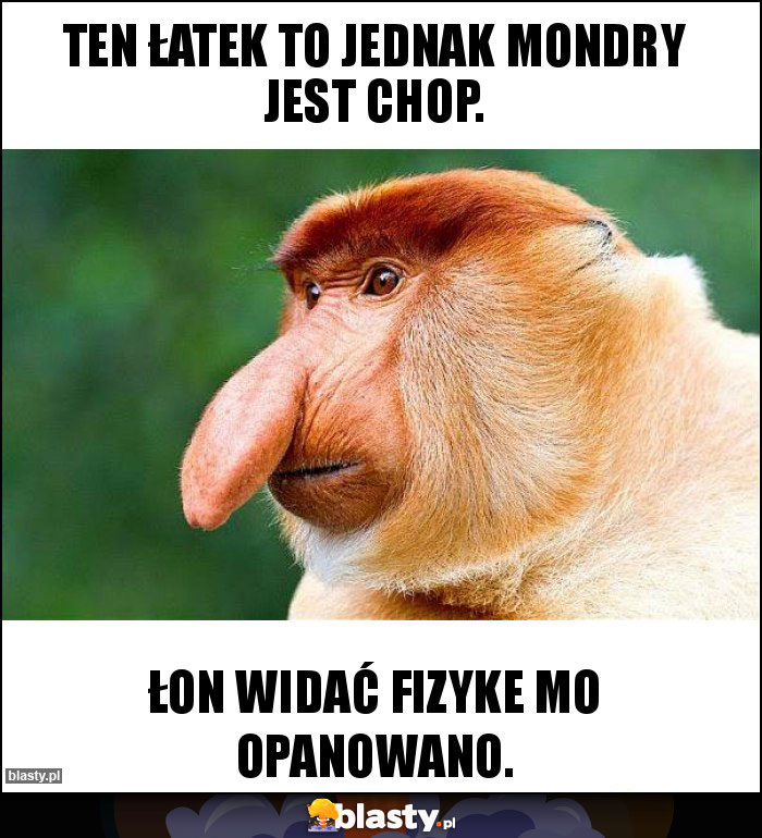 Ten Łatek to jednak mondry jest chop.