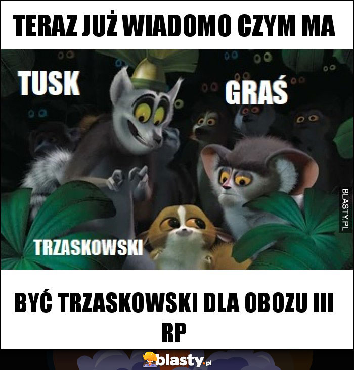 Teraz już wiadomo czym ma