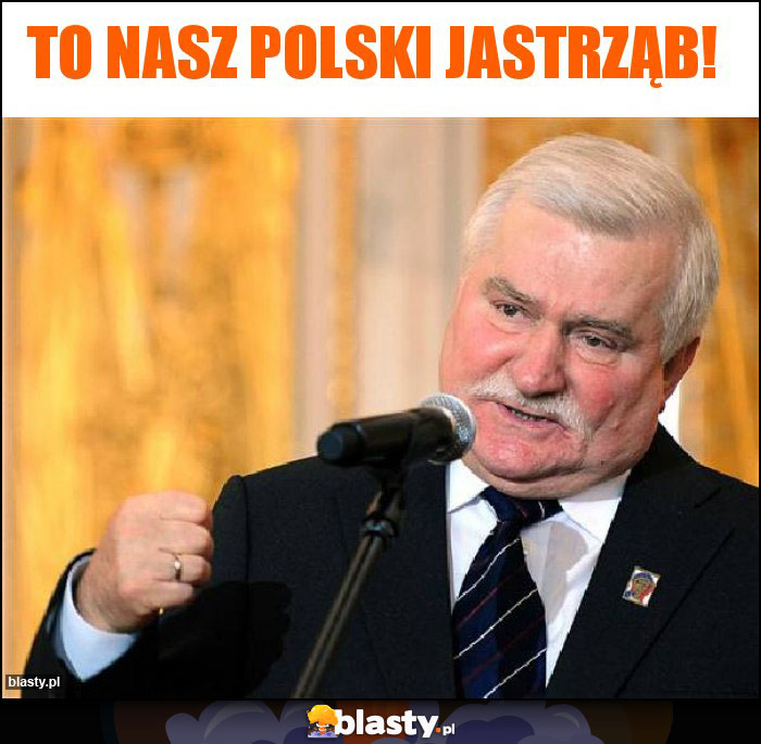 To nasz polski Jastrząb!