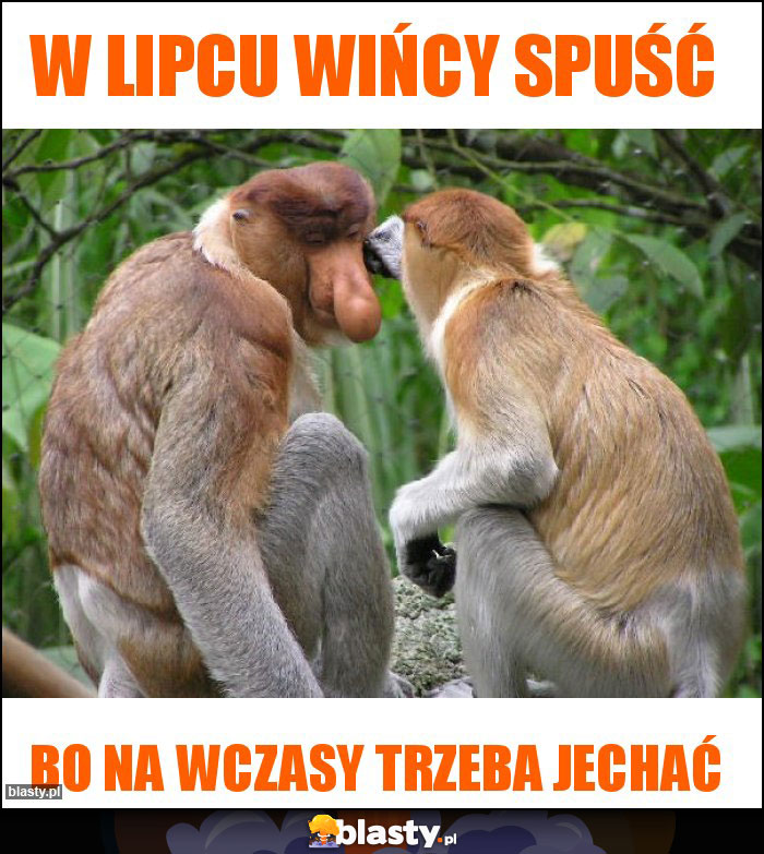 W lipcu wińcy spuść