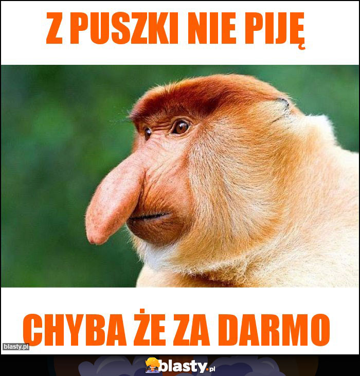 Z PUSZKI NIE PIJĘ