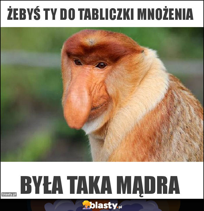 Żebyś Ty do tabliczki mnożenia