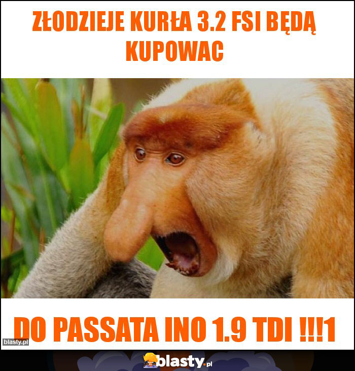 Złodzieje kurła 3.2 fsi będą kupowac