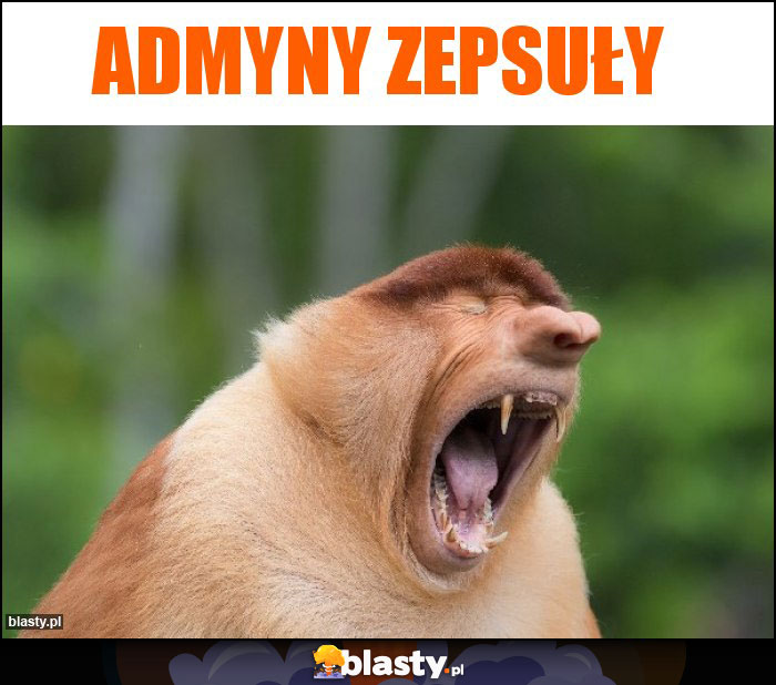 Admyny zepsuły