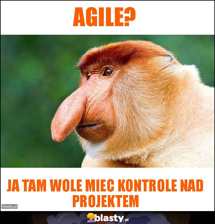 Agile?