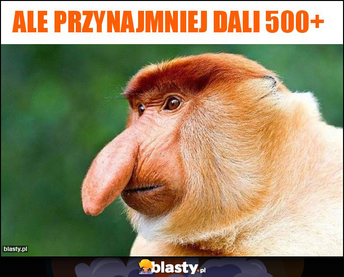 Ale przynajmniej dali 500+