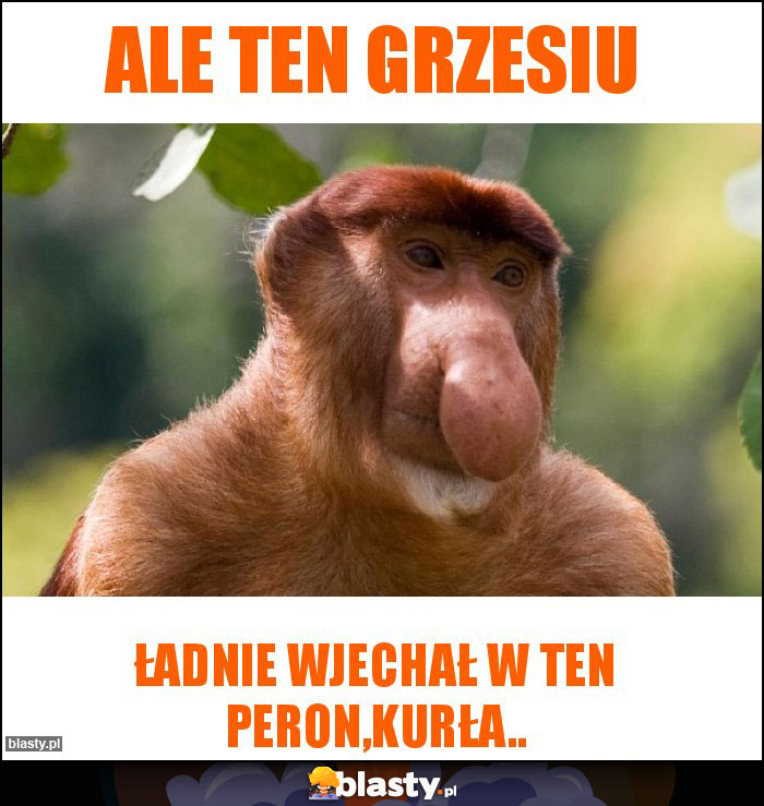 Ale Ten Grzesiu