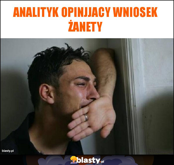 Analityk opinjjacy wniosek Żanety