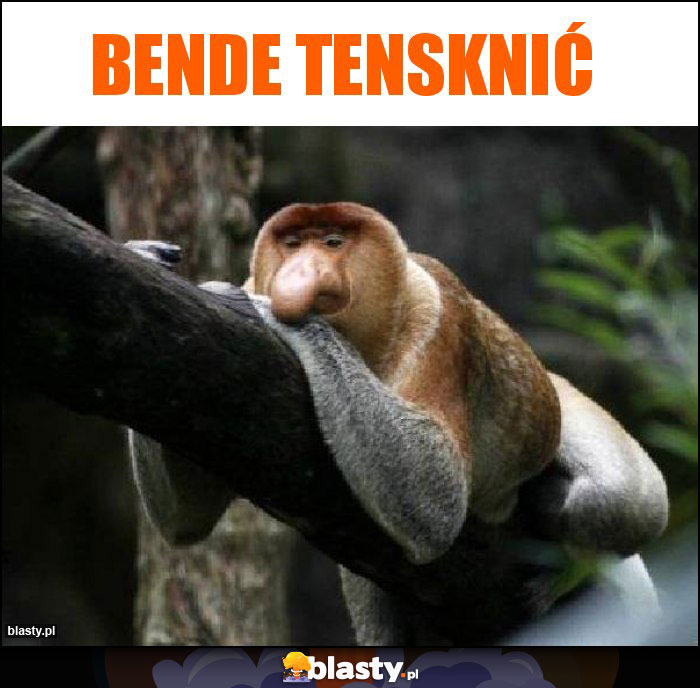 Bende tensknić