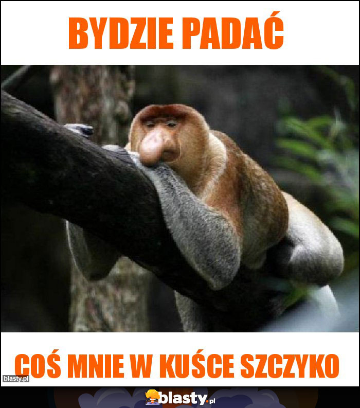 Bydzie padać