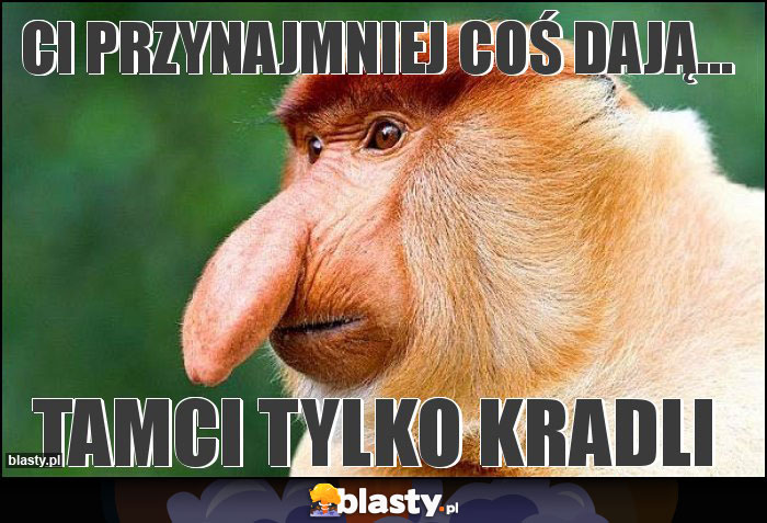 Ci przynajmniej coś dają...