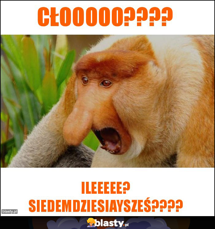 Cłooooo????