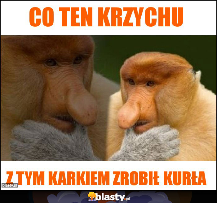 CO TEN KRZYCHU