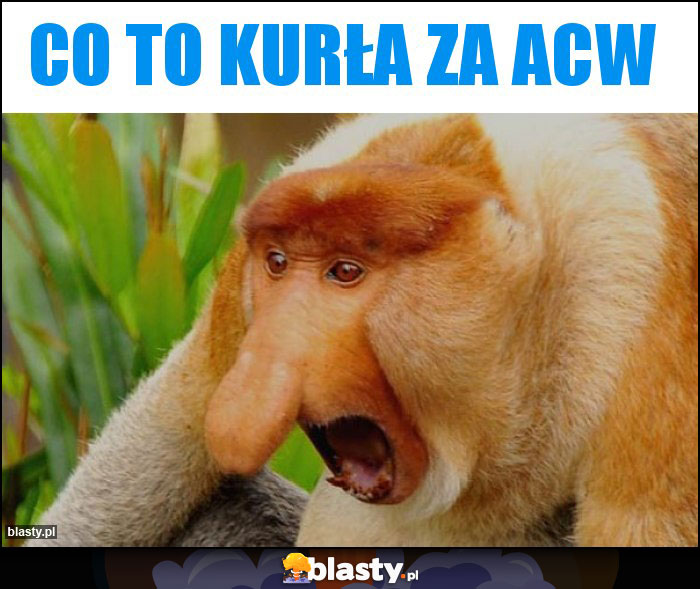 Co to kurła za ACW