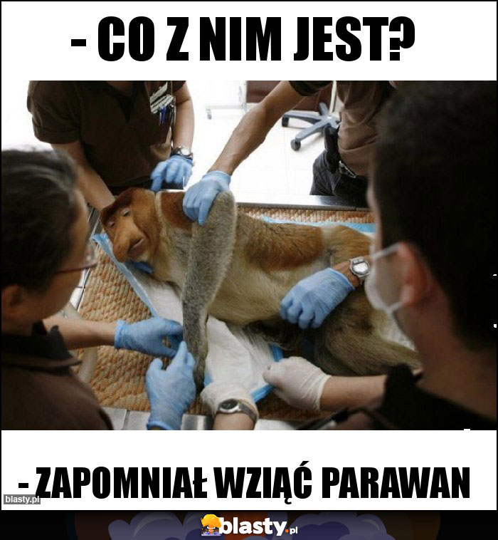 - Co z nim jest?