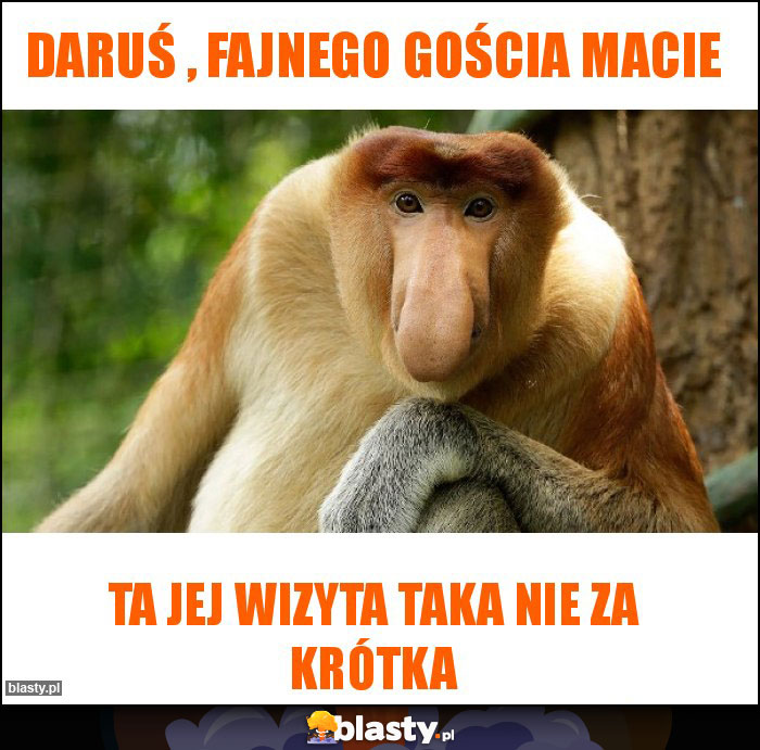 Daruś , fajnego gościa macie