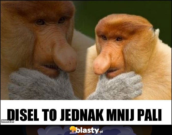 Disel to jednak mnij pali