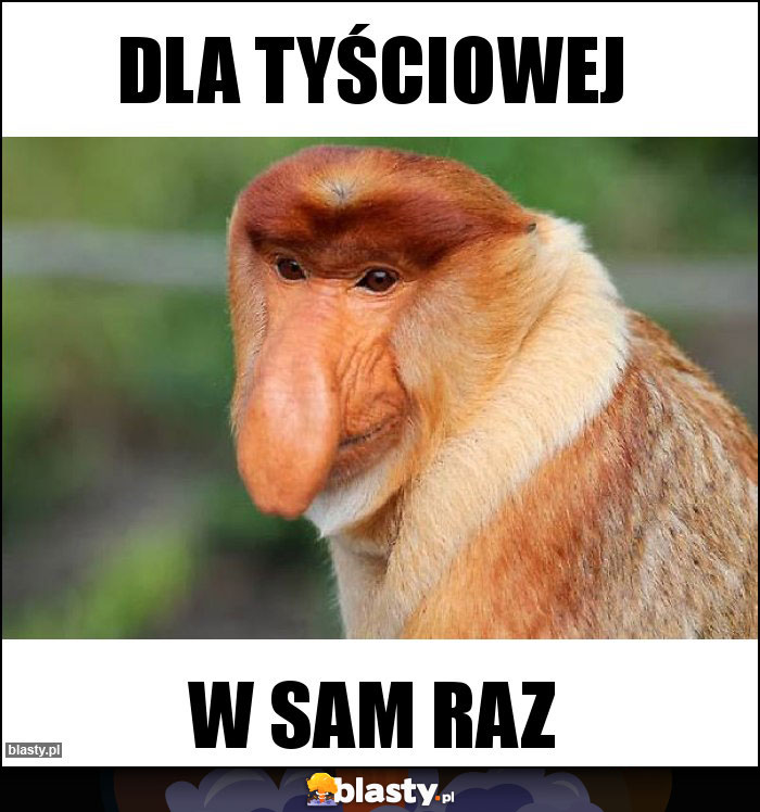 Dla tyściowej