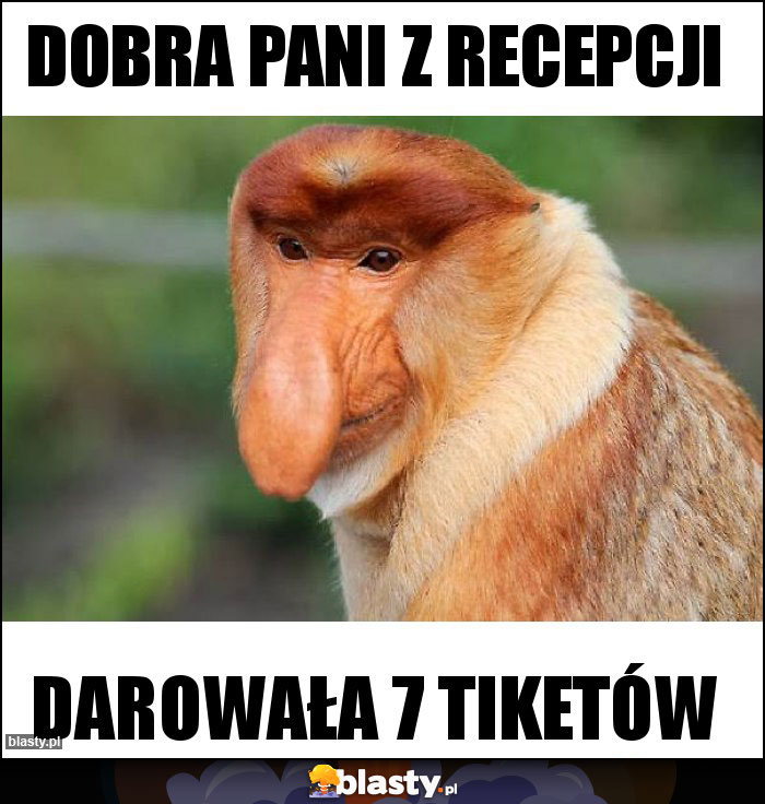 DOBRA PANI Z RECEPCJI