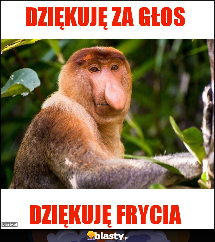 Dziękuję za głos