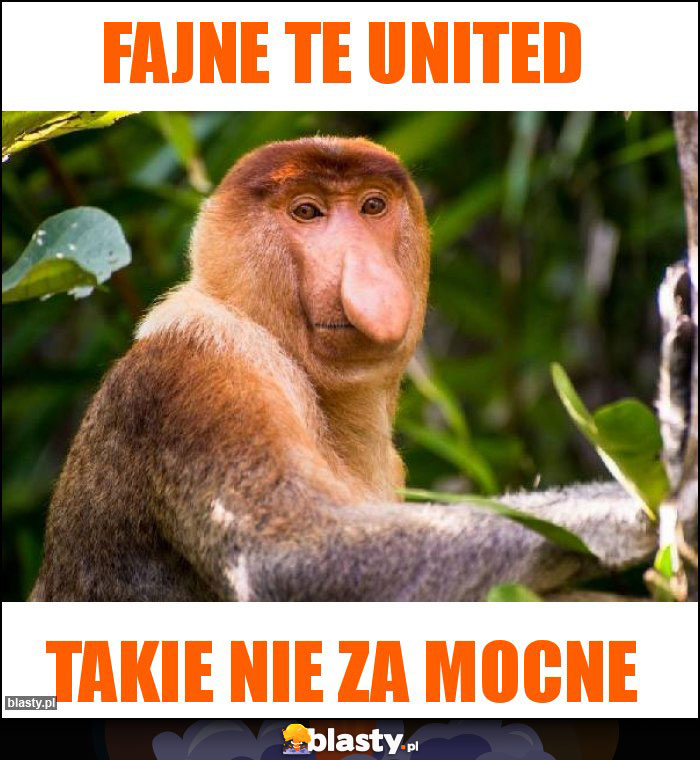 Fajne te United