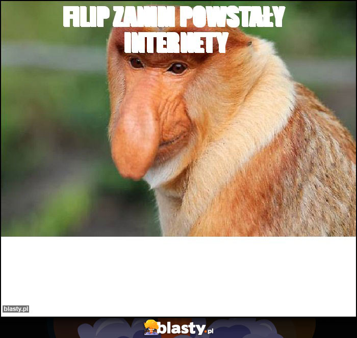 Filip zanim powstały  Internety