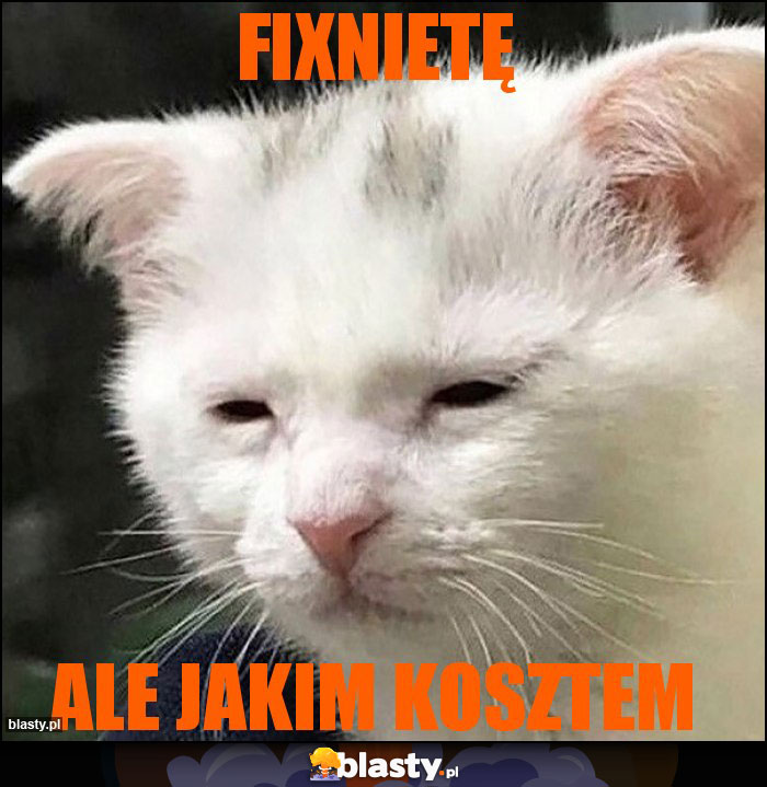 Fixnietę